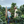 Cauca Filtro - Colombia