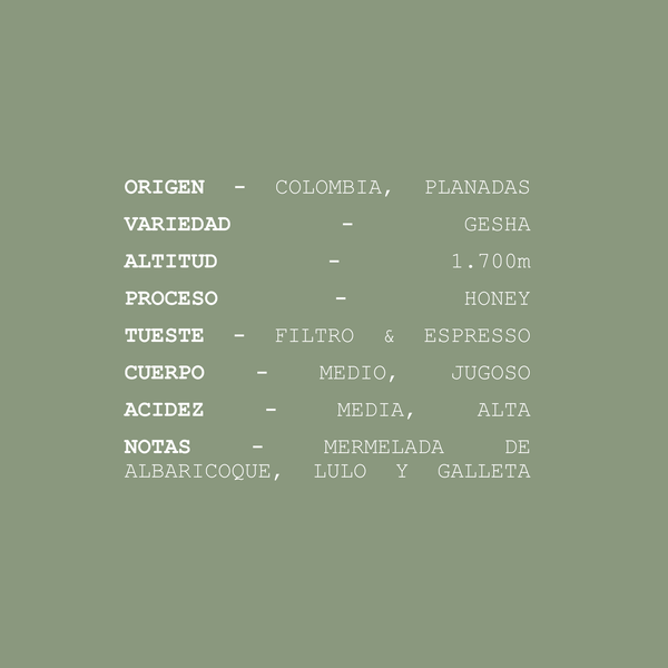 Gesha Playita - Colombia LIMITED EDITION