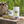 PACK ONYVA MATCHA