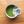 ONYVA MATCHA