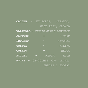 Mundayo Filtro - Etiopia