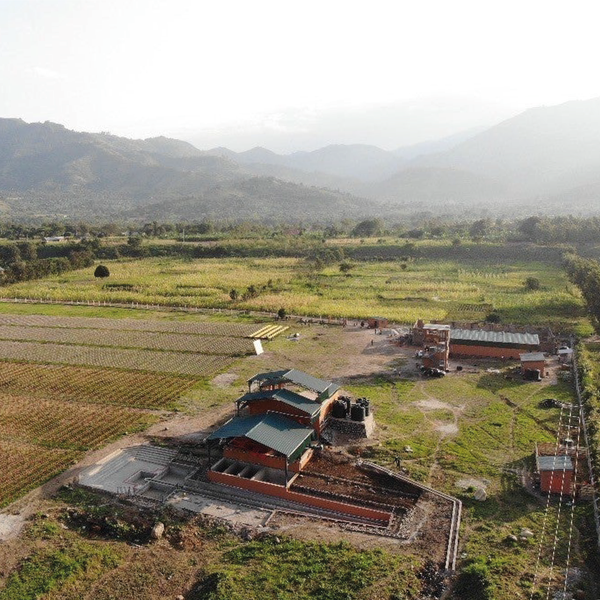 Rwenzori Dark - Uganda