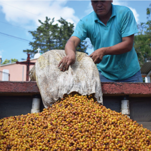 Santa Rosa Espresso - Guatemala
