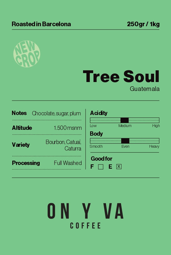 Tree Soul - Guatemala
