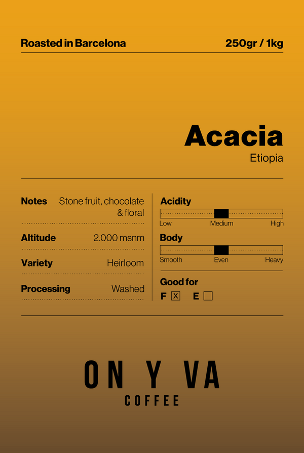 Acacia - Etiopía
